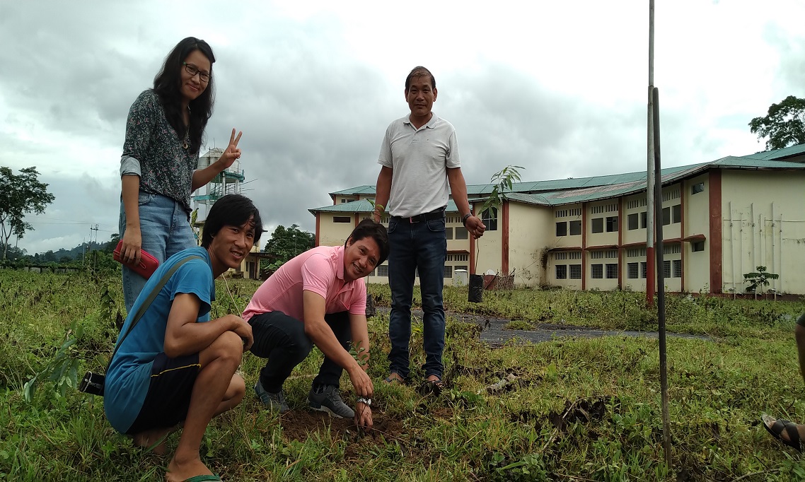 Tree Plantation